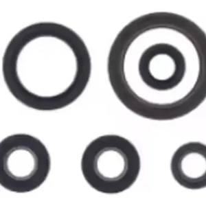 Premium Komplet zestaw uszczelniaczy silnikowych Gas Gas EC F 250, Husqvarna FE 250/350, KTM EXCF 250/350 Athena P400270400093