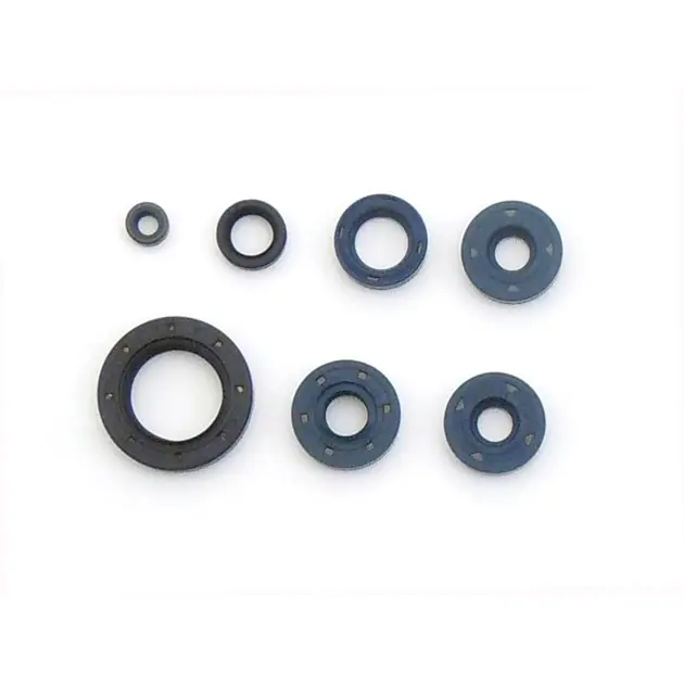 Komplet zestaw uszczelniaczy silnikowych BMW F650 GS, F650/ST, F650 CS, G650 GS/X, Bombardier DS 650 Athena P400070400001 Sprawdź teraz