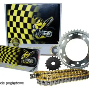Bestseller REGINA ZESTAW NAPĘDOWY KTM DUKE 390, RC 390 (13-20) (15/45/112/520ZRT) ŁAŃCUCH DO 750 CCM ZŁOTY (Z-RING), ZĘBATKA P/T AFAM