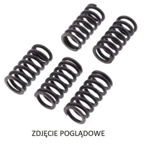 Premium Sprężyny sprzęgłowe Suzuki DL 650 V-Strom TRW MEF334-6