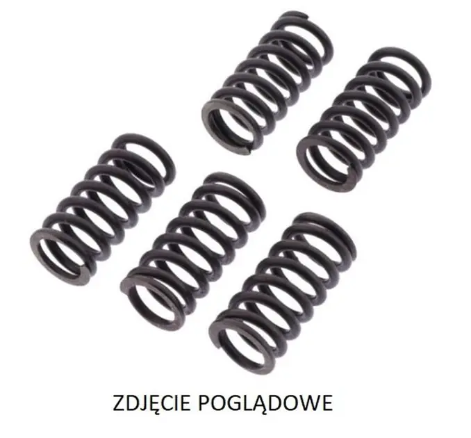 Premium Sprężyny sprzęgłowe Suzuki DL 650 V-Strom TRW MEF334-6