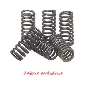 Wyprzedaż PSYCHIC SPRĘŻYNY SPRZĘGŁOWE KAWASAKI KLX 450R ‘08-‘12, KX 450F ‘06-‘11